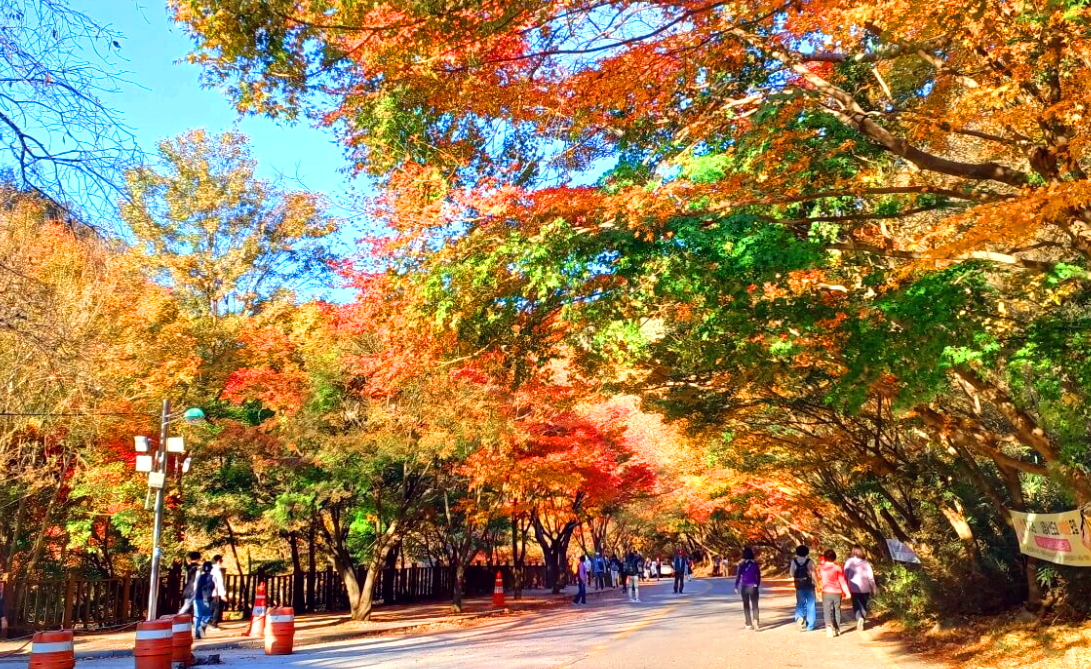 내장산
