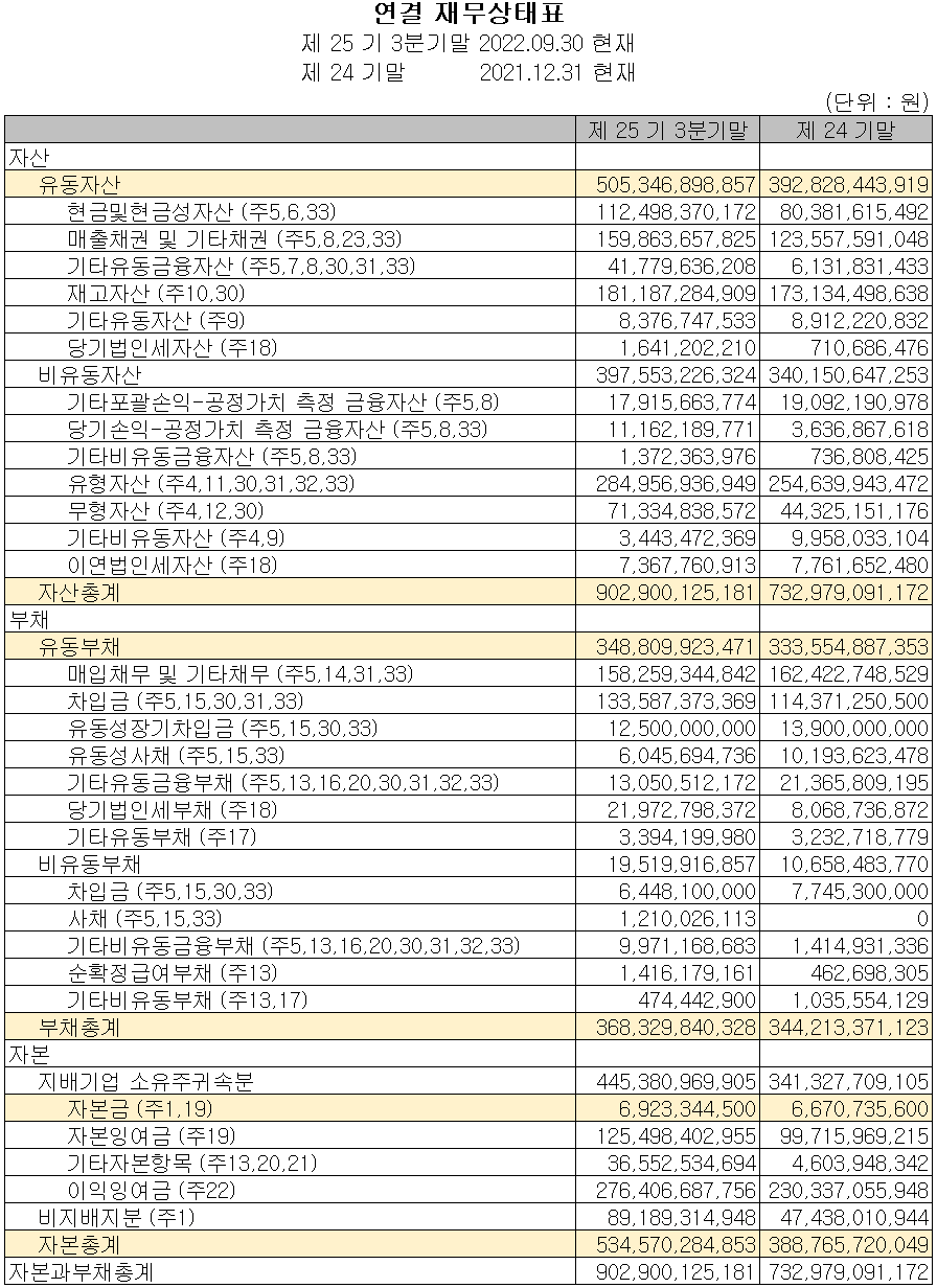 드림텍 - 재무상태표