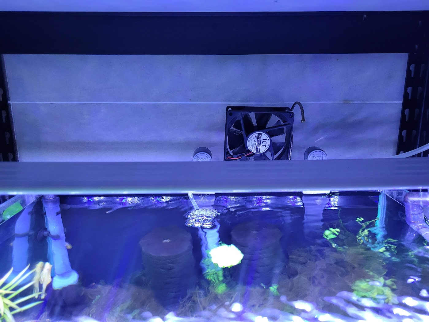 여름에 사용하던 컴퓨터 냉각팬을 이용한 자작 어항 냉각기