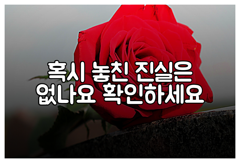 혹시 놓친 진실은 없나요 확인하세요