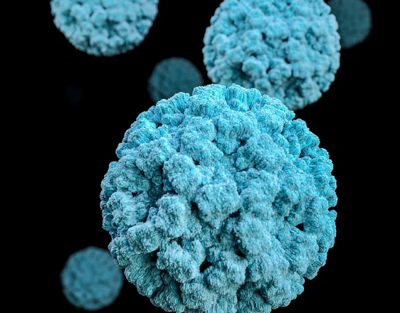 노로 바이러스 장염 증상