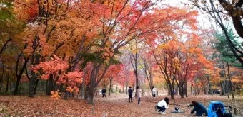 단풍구경 전국 명산 50대 이상 안전한 등산로 추천_7
