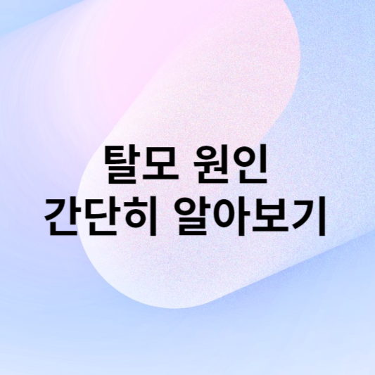 탈모의 원인