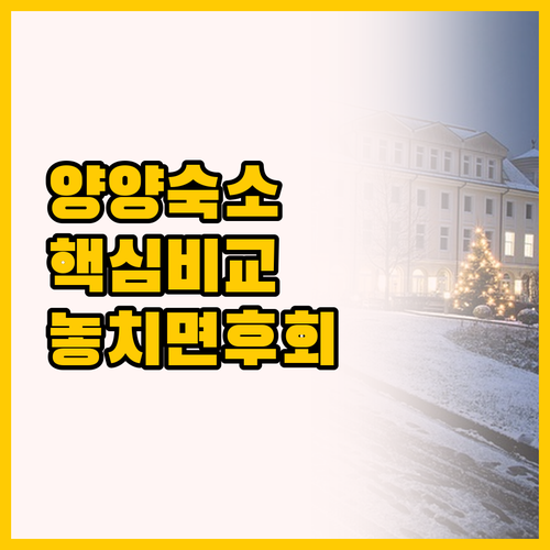쏘타스위트 양양그랑베이 vs 더낙산호..