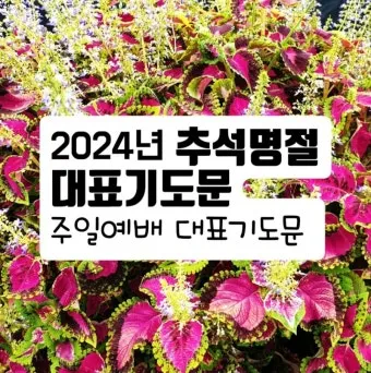 추석 명절 감사 기도문 모음추석 명절 가정예배 기도문 예문_19