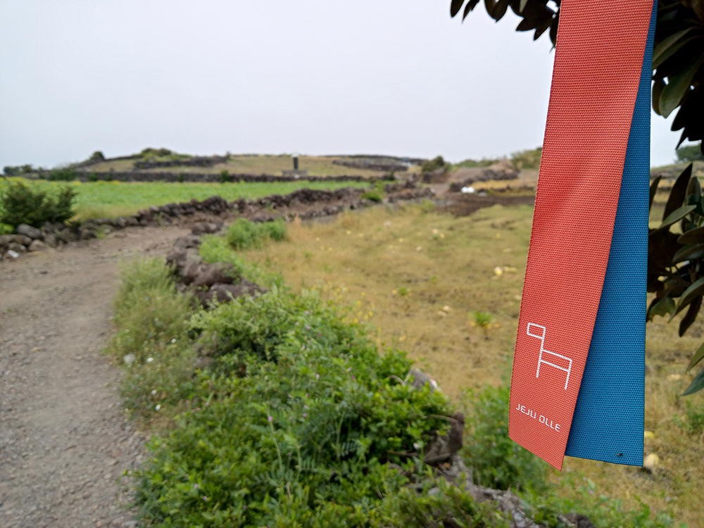 올레길 21코스: 지미봉 밭길