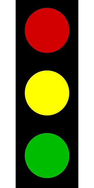 신호위반 실시간 조회