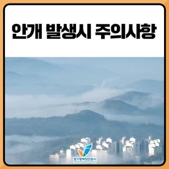 안개 주의 가시거리 운전 속도 헤드라이트 사용법_14