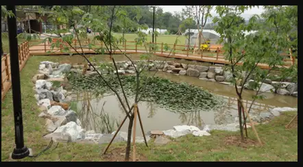 도덕산캠핑장-생태연못