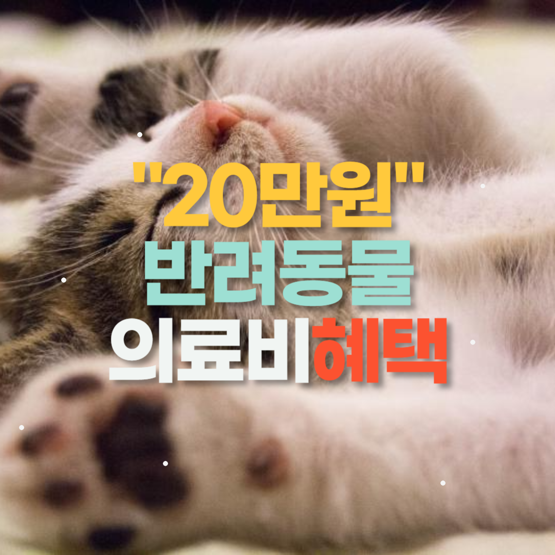 반려동물 의료비 지원 신청 방법 20만원의 혜택 누리세요.
