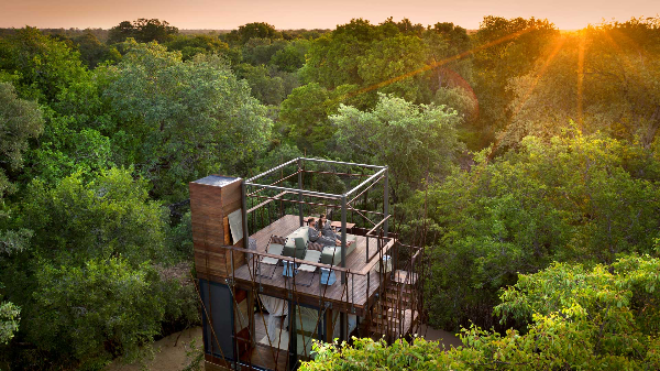 andBeyond Ngala Treehouse, 남아프리카 공화국 (사진 출처: andBeyond)
