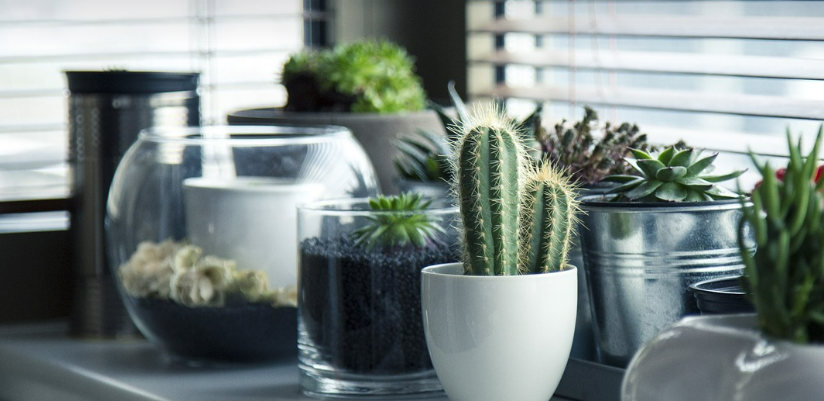 청년월세지원&amp;#44; 신청&amp;#44; 소득&amp;#44; 서류&amp;#44; 조건