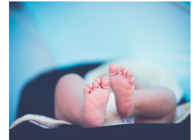 모유수유 완전정복 (유축기, 쿠션, 보관법)