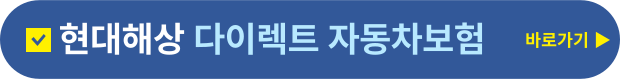 다이렉트자동차보험 바로가기