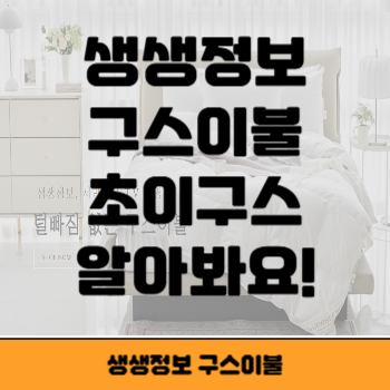생생정보 구스이불 썸네일