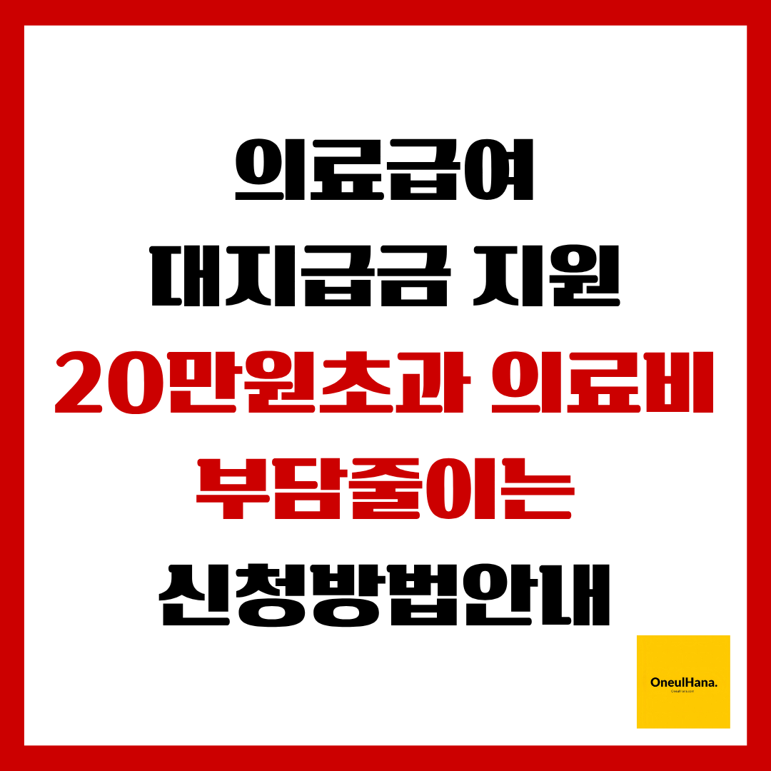 의료급여대지급금지원방법