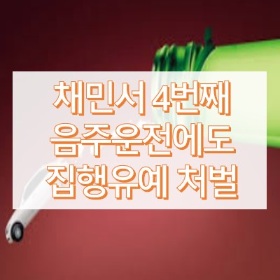 채민서 음주운전 집행유예