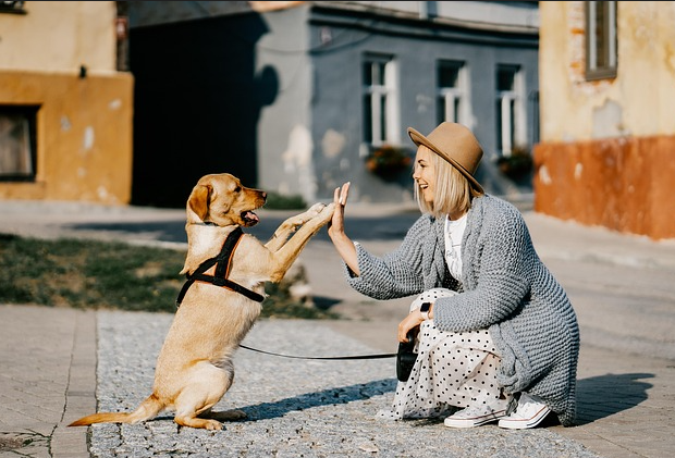 중년 펫팸족(Pet+Family)