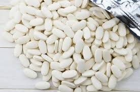 구충제 복용 시기와 방법