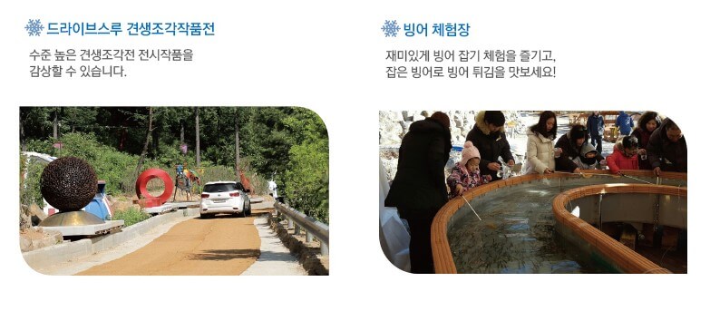 양준눈꽃축제 썰매장