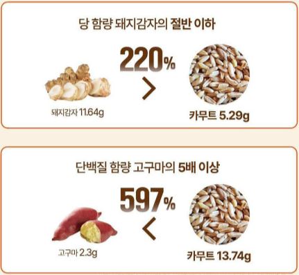 카무트 효소 효능