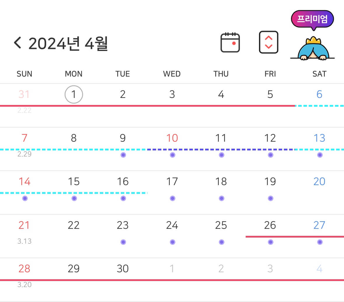 부정출혈 야즈 가격 실비 청구방법 후기
