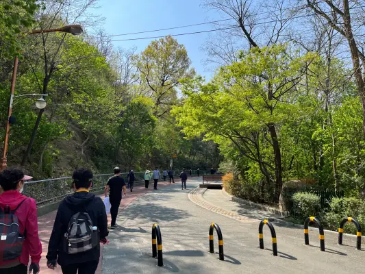 공원에서-산책하고-있는-사람들