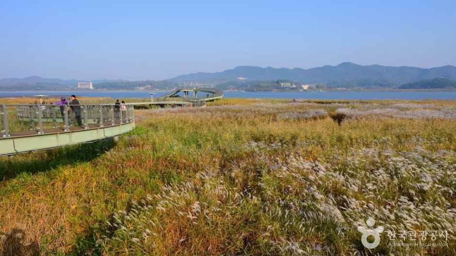 장항항 수산물 꼴갑축제