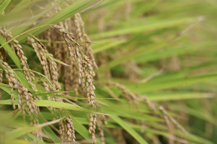 전 세계 식탁을 지키는 데이터의 힘