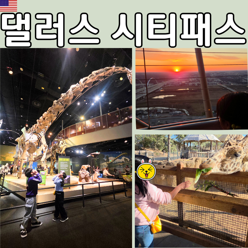 #댈러스시티패스 #달라스시티패스 #텍사스여행