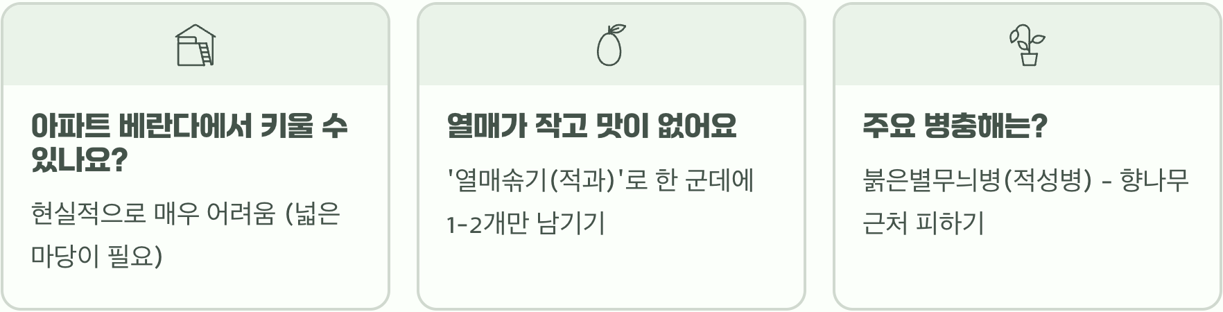 배나무 키우기 A to Z (묘목 심기부터 가지치기, 수확까지)