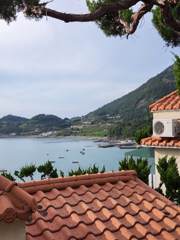 객실에서-보이는-사촌해변