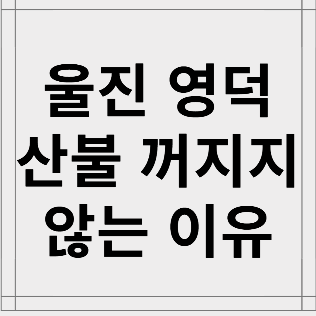 울진·영덕 산불 확산, 피해 현황과 꺼지지 않는 이유 총정리