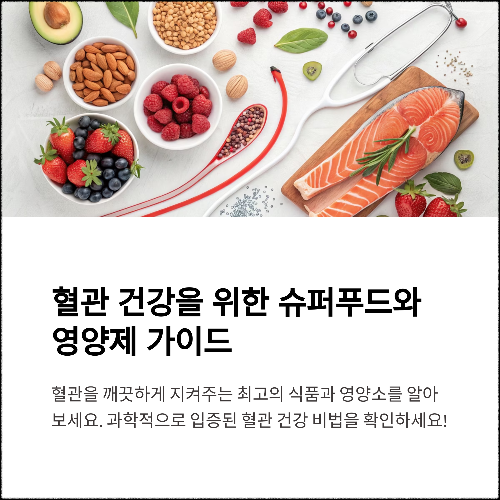 혈관을 깨끗하게 지켜주는 슈퍼푸드와 영양제 가이드
