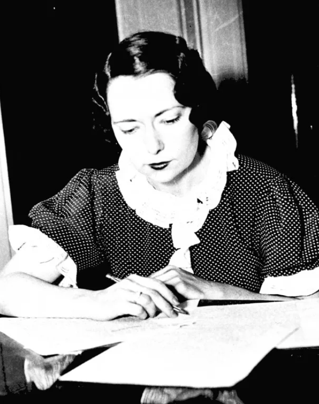 미국 남북전쟁 역사소설 시대배경, 대표작, 특징