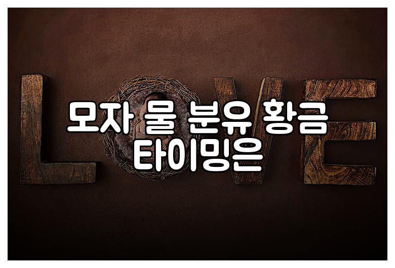 모자 물 분유 황금 타이밍은