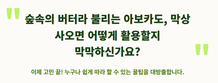 아보카도 먹는 방법