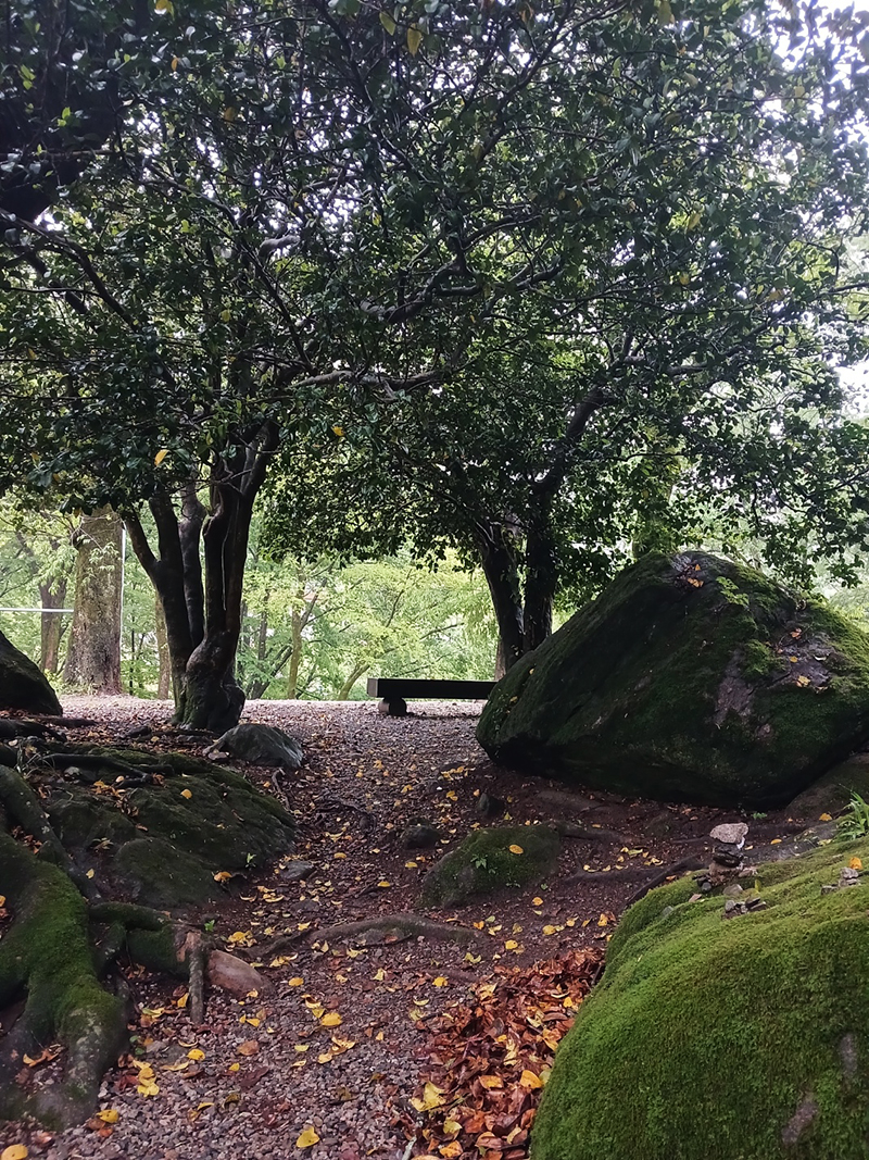 경남 쌍계사 템플스테이 신청 방법