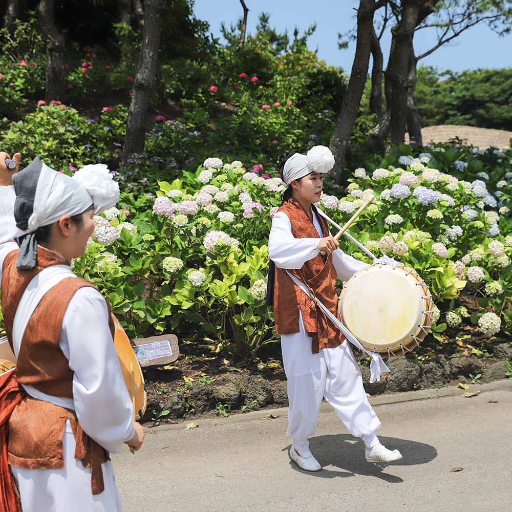 제주민속촌 수국축제