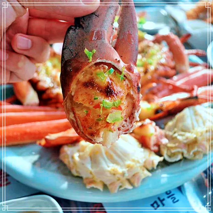 어서와 한국은 처음이지 제주 공항, 용두암 대게, 킹크랩 맛집