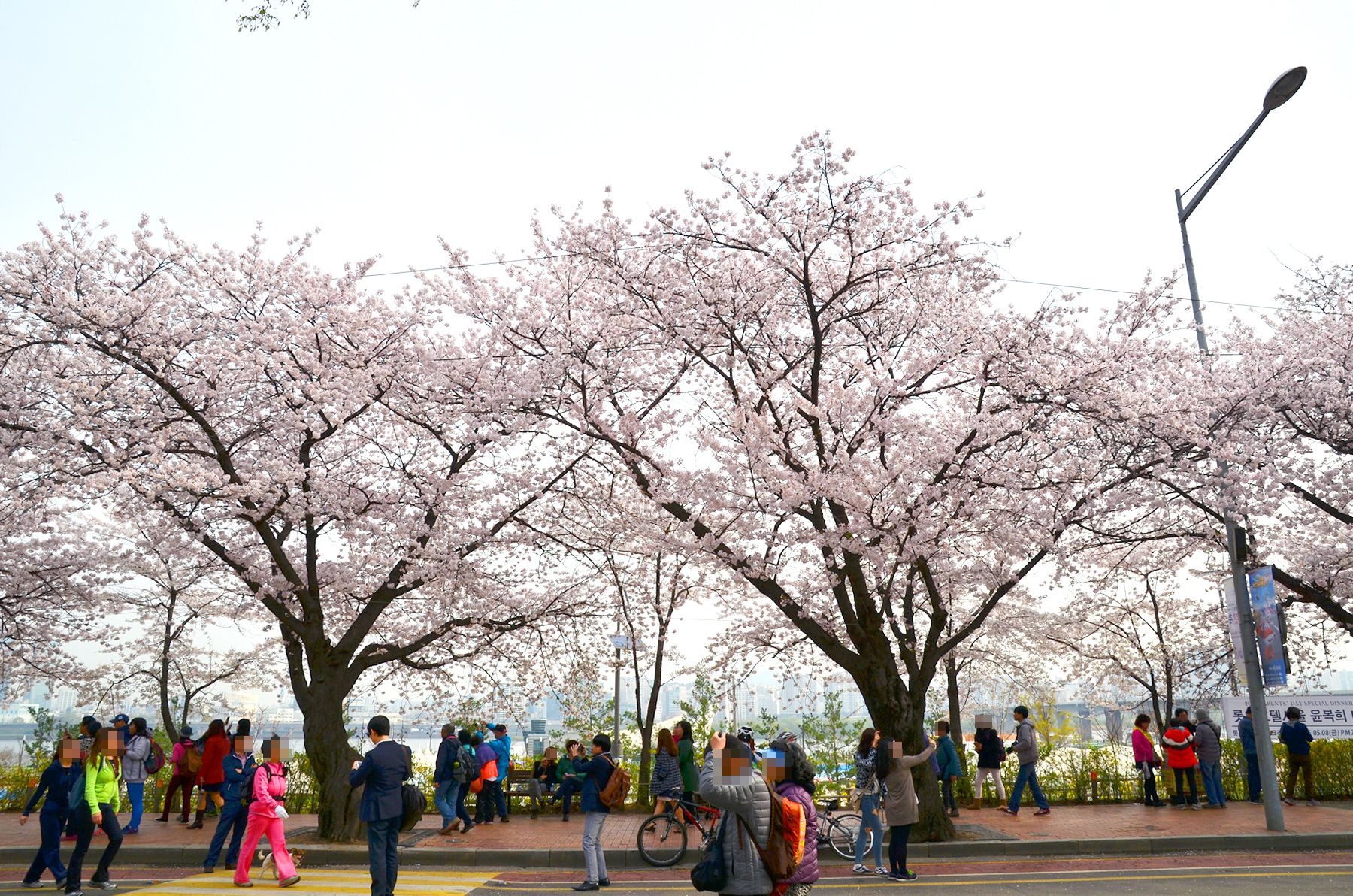 대한민국 숙박세일페스타