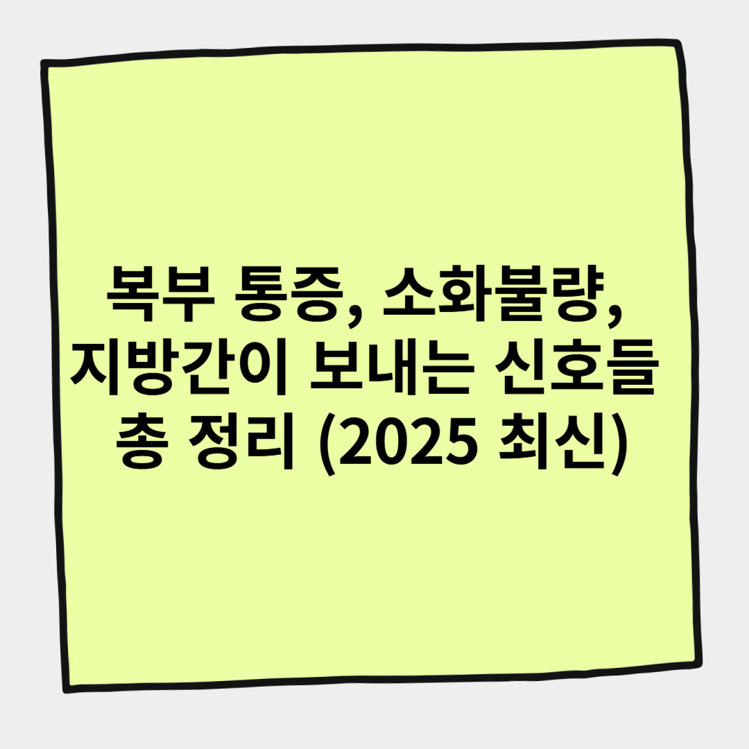 복부 통증, 소화불량, 지방간이 보내는 신호들 총 정리 (2025 최신)