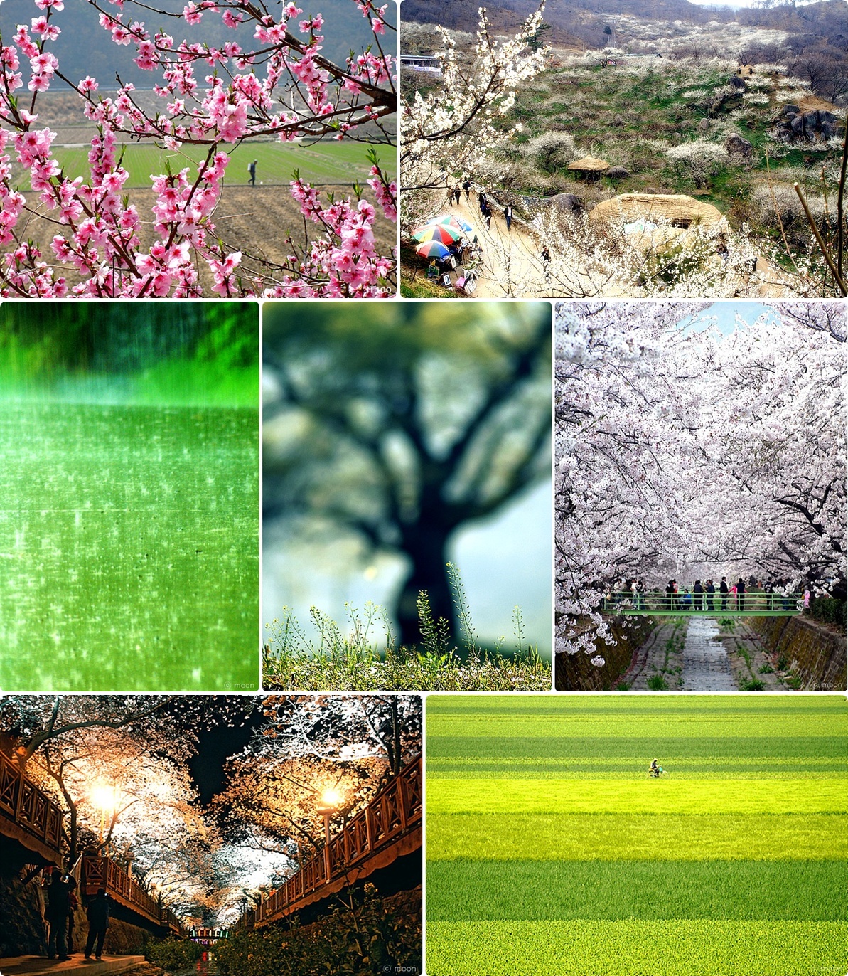 봄풍경사진