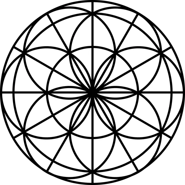 전자 신분증 발급