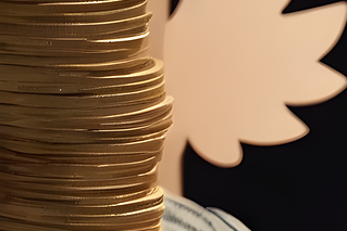 가족 돼지저금통