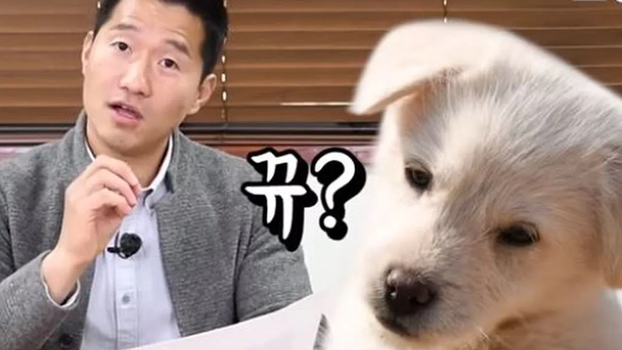 강아지 고개 갸우뚱 이유 의미 뜻_4