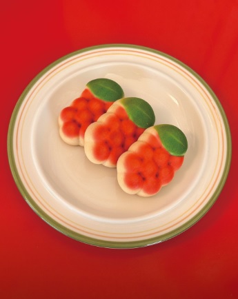 6시 내고향 문경 오미자빵과 오미자전병 디저트 맛집 으네마켓 주문방법 문경샌드