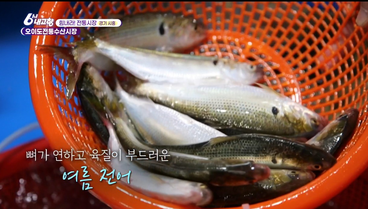 내고향스페셜 오이도전통수산시장 전어 한바구니
