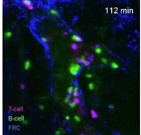 아이빔테크놀로지