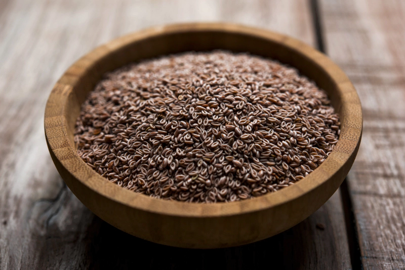 차전자피 효능 먹는법 부작용 (2주 섭취 후기)